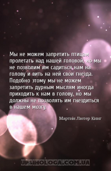 Мы не можем запретить птицам пролетать над нашей головой, но мы не позволим...