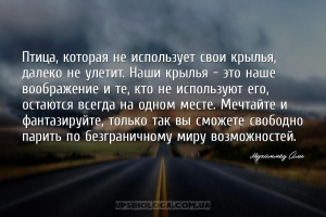 Птица, которая не использует свои крылья, далеко не улетит. Наши крылья - э...