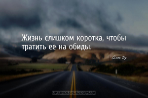 картинка жизнь слишком коротка чтобы тратить ее на обиды легинсы