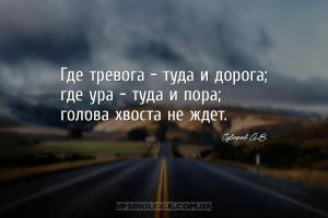 мудрые мысли тревожность