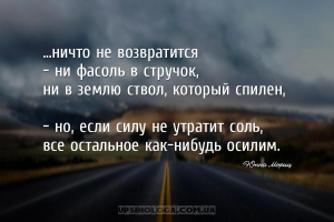 ...ничто не возвратится
- ни фасоль в стручок,
ни в землю ствол, который...