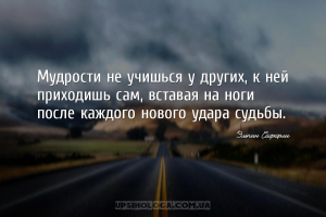 Мудрости не учишься у других, к ней приходишь сам, вставая на ноги после ка...