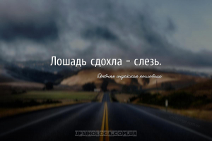 Лошадь сдохла - слезь....