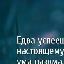 умные мысли смешные