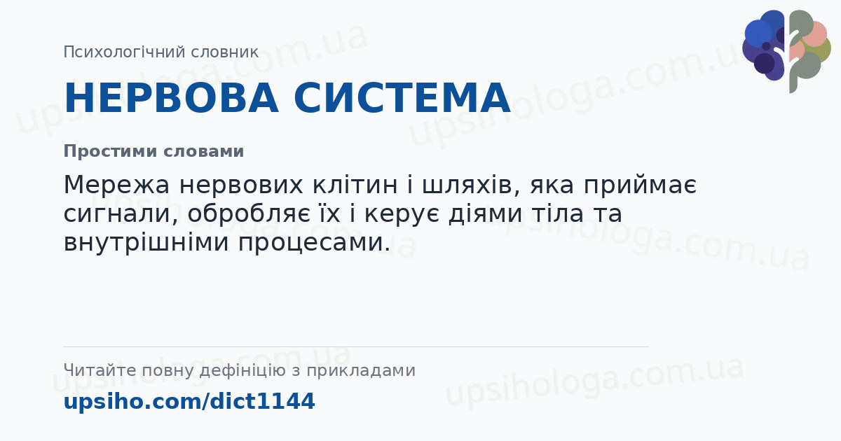 НЕРВОВА СИСТЕМА — Простими словами