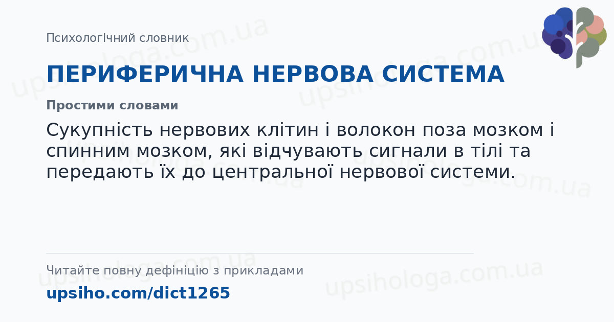 ПЕРИФЕРИЧНА НЕРВОВА СИСТЕМА — Простими словами