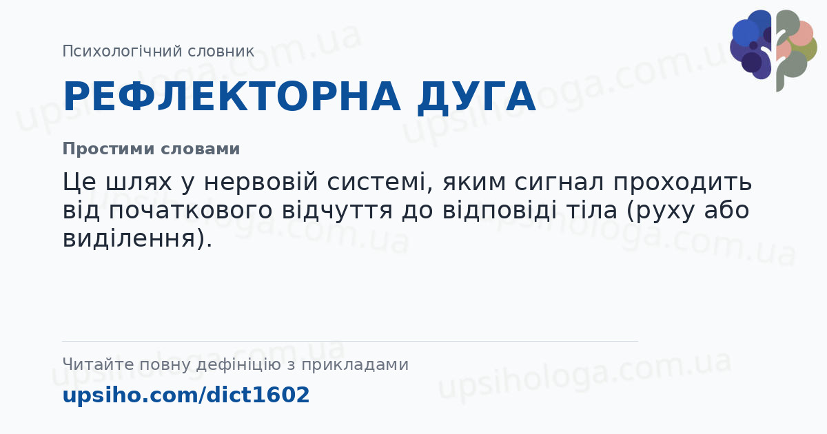 РЕФЛЕКТОРНА ДУГА — Простими словами