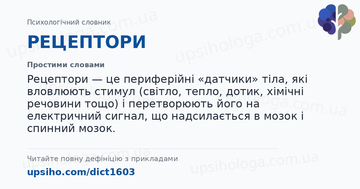 РЕЦЕПТОРИ — Простими словами