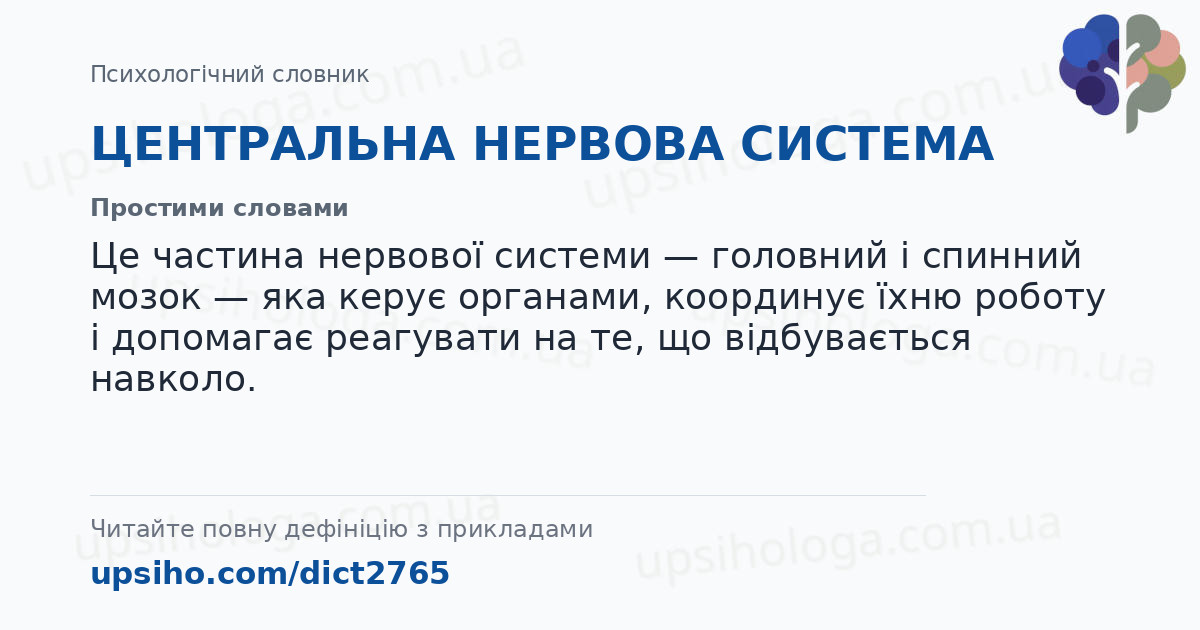 ЦЕНТРАЛЬНА НЕРВОВА СИСТЕМА — Простими словами