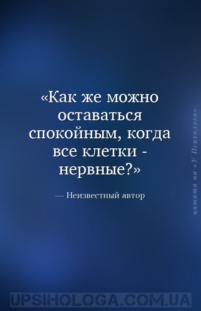 Как же можно оставаться спокойным, когда все клетки - нервные? — Неизвестный автор