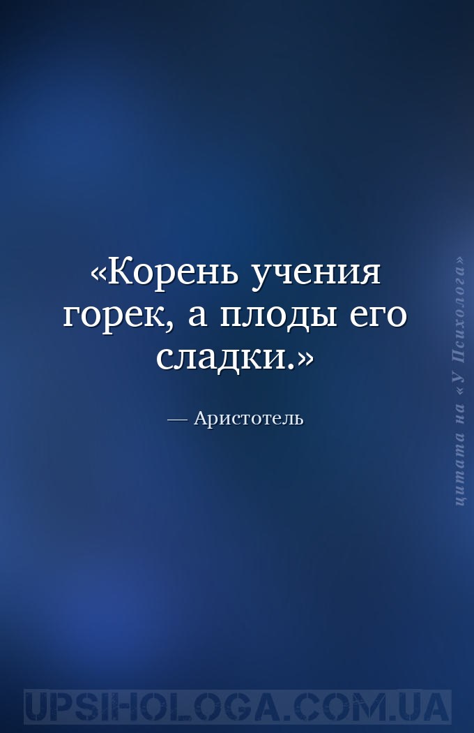 Корень учения горек, а плоды его сладки. — Аристотель
