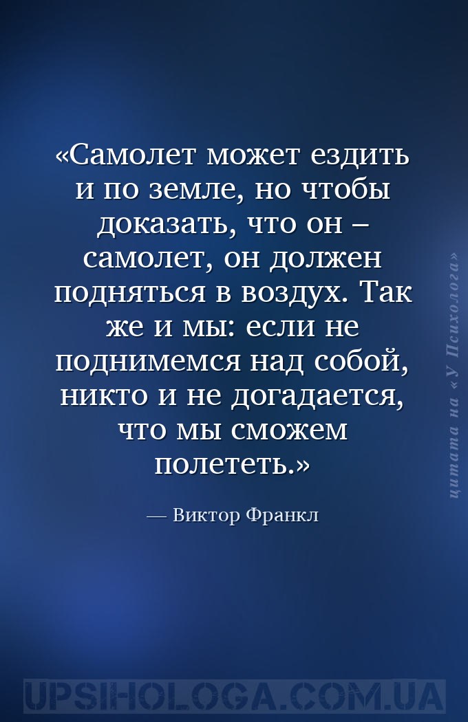Самолет может ездить и по земле, но чтобы доказать, что он – самолет, он до... — Виктор Франкл