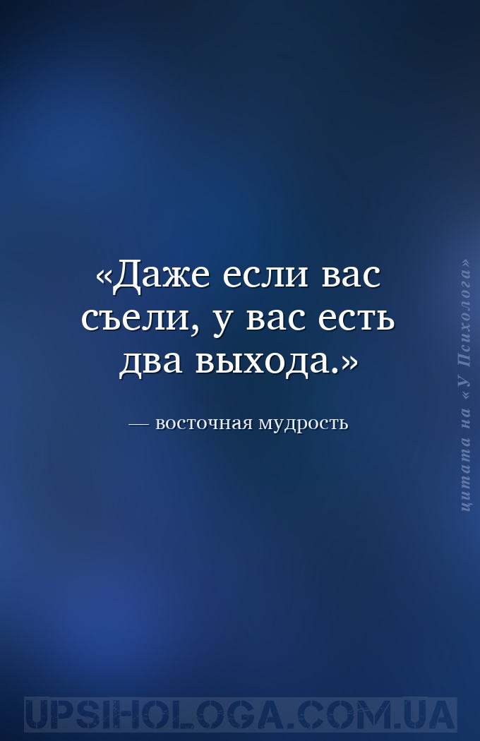 Даже если вас съели, у вас есть два выхода. — восточная мудрость