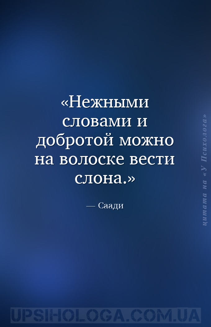 Нежными словами и добротой можно на волоске вести слона. — Саади