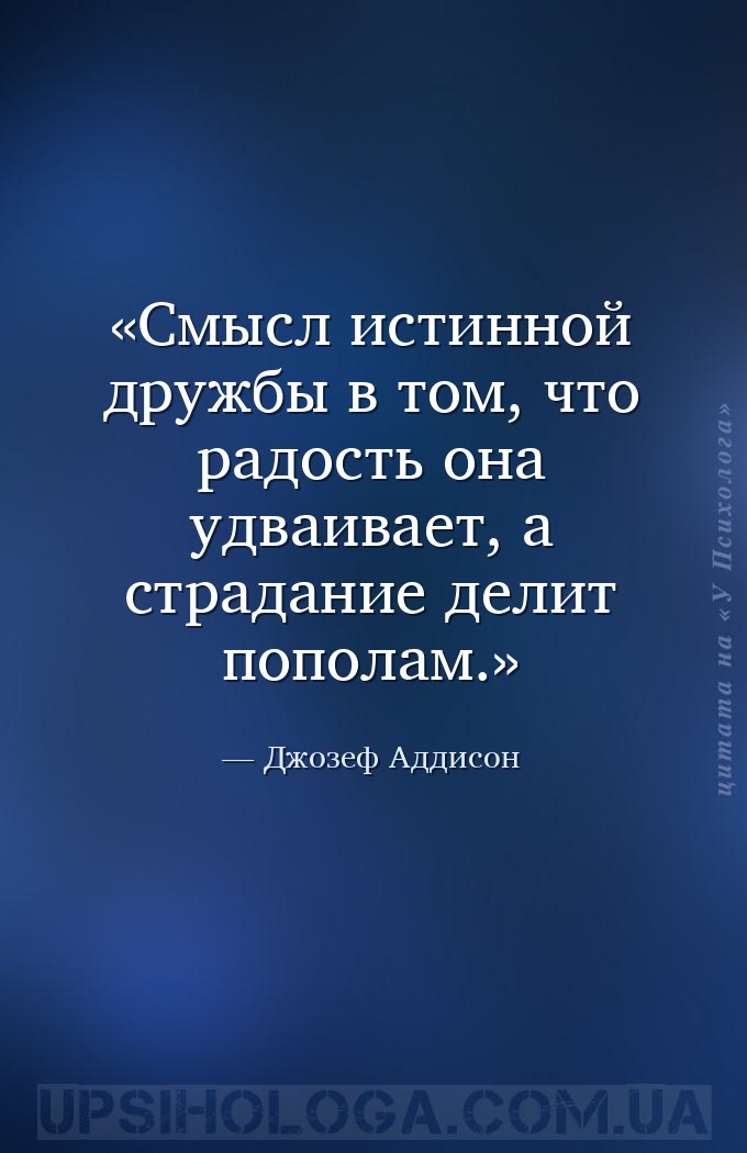 Смысл истинной дружбы в том, что радость она удваивает, а страдание делит п... — Джозеф Аддисон