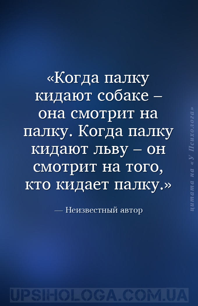 Когда палку кидают собаке – она смотрит на палку.
Когда палку кидают льву... — Неизвестный автор