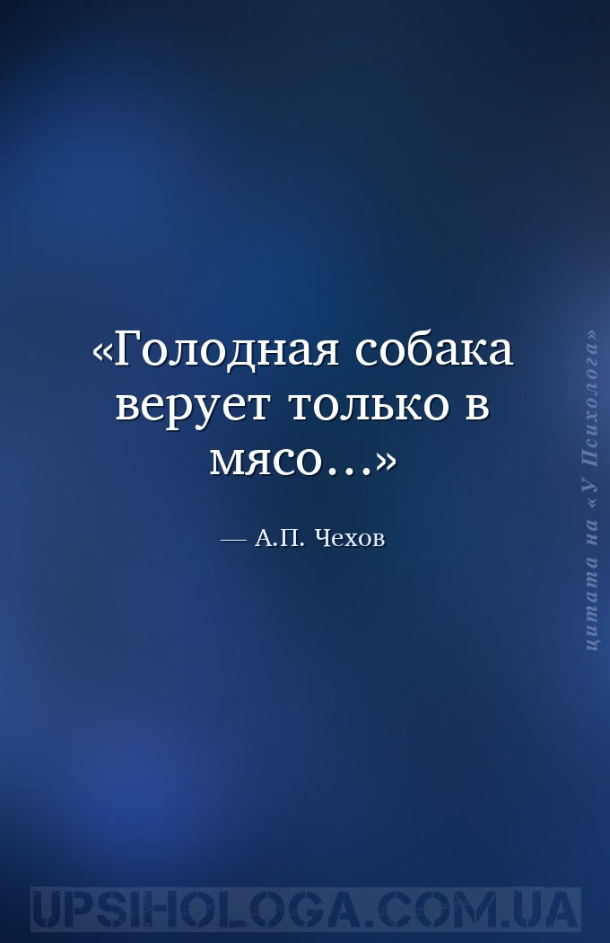 Голодная собака верует только в мясо… — А.П. Чехов
