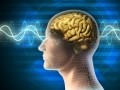 психология студентам
